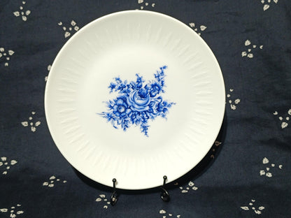 Vintage Coffe set and plates Scherzer Blue Rose
