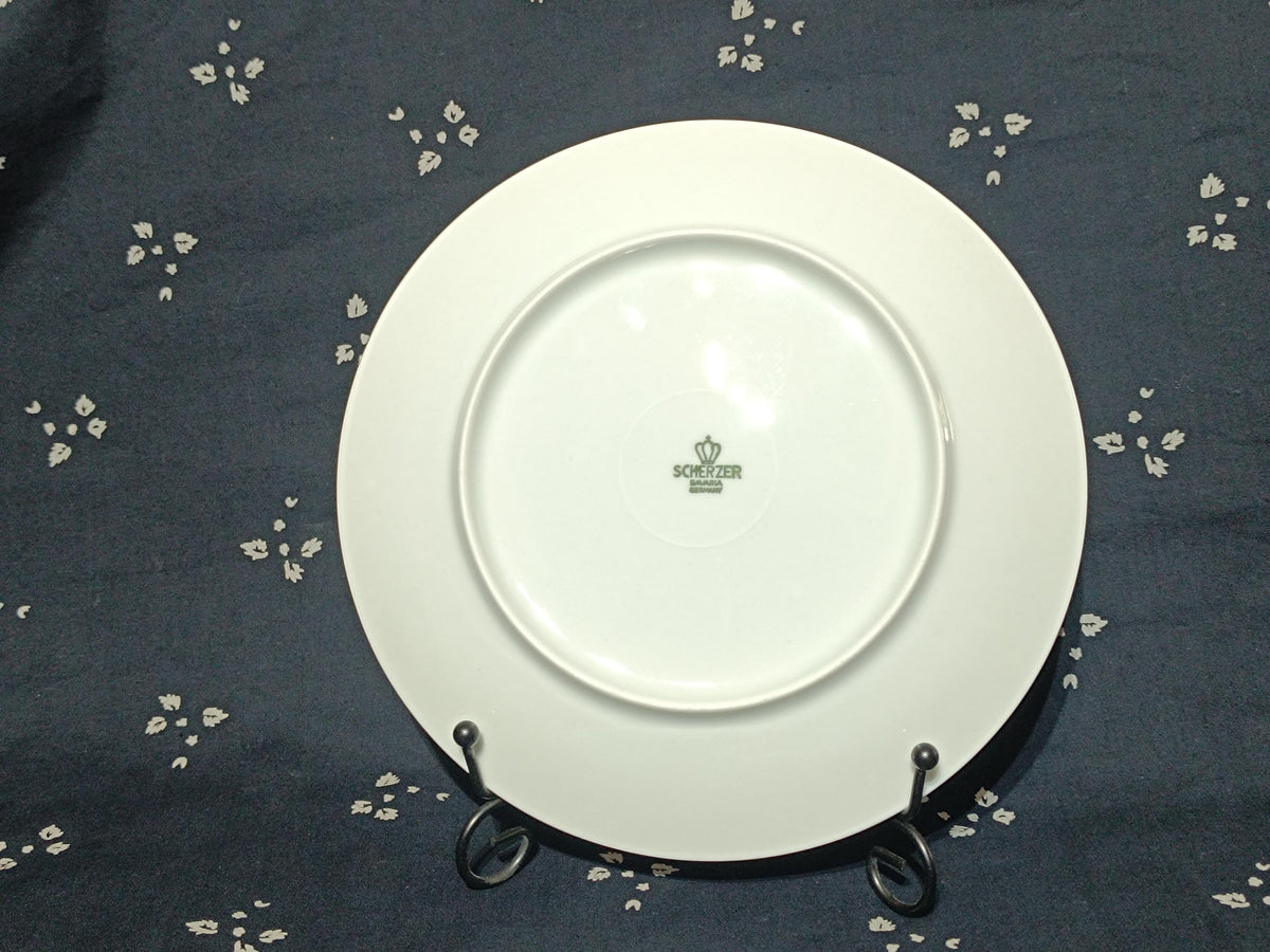 Vintage Coffe set and plates Scherzer Blue Rose