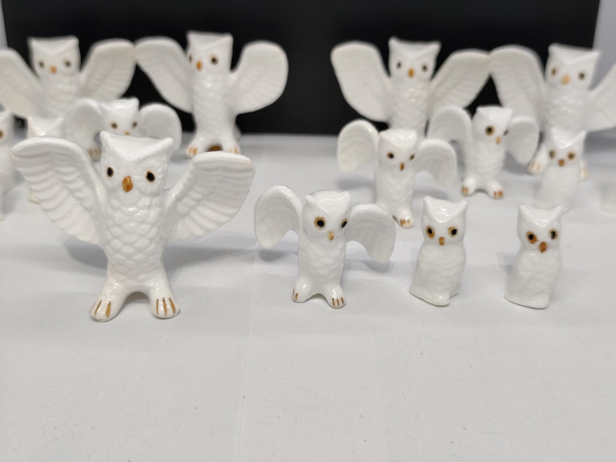 Set of 16 Bone China Genuine Owls Figurines