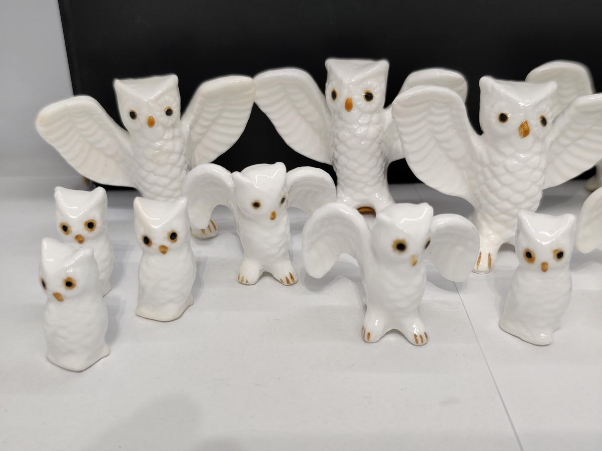 Set of 16 Bone China Genuine Owls Figurines
