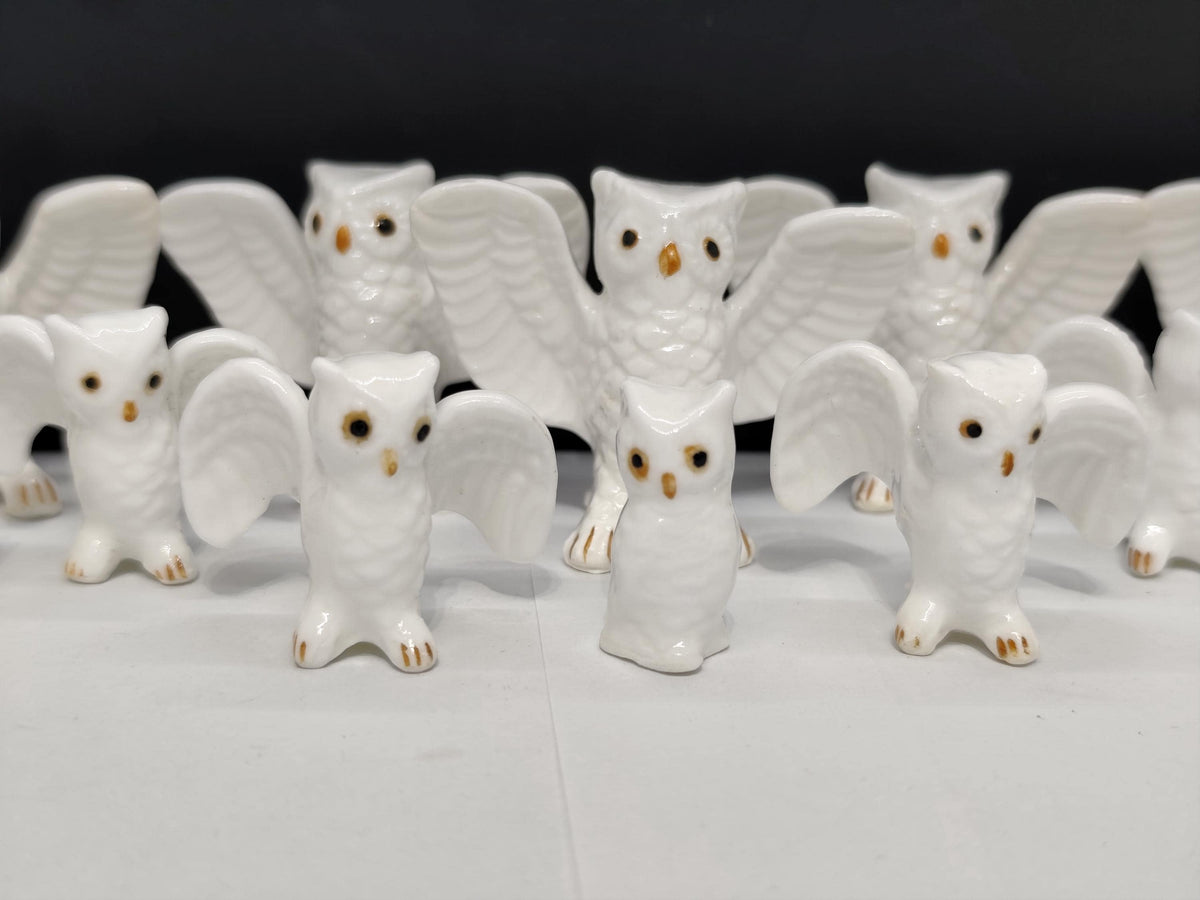 Set of 16 Bone China Genuine Owls Figurines