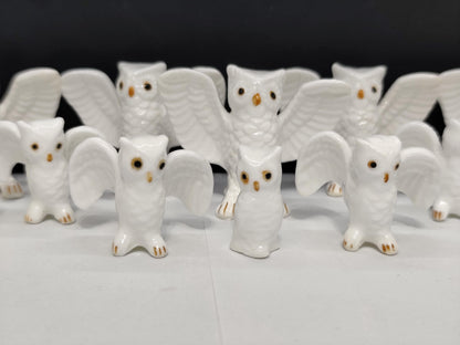 Set of 16 Bone China Genuine Owls Figurines