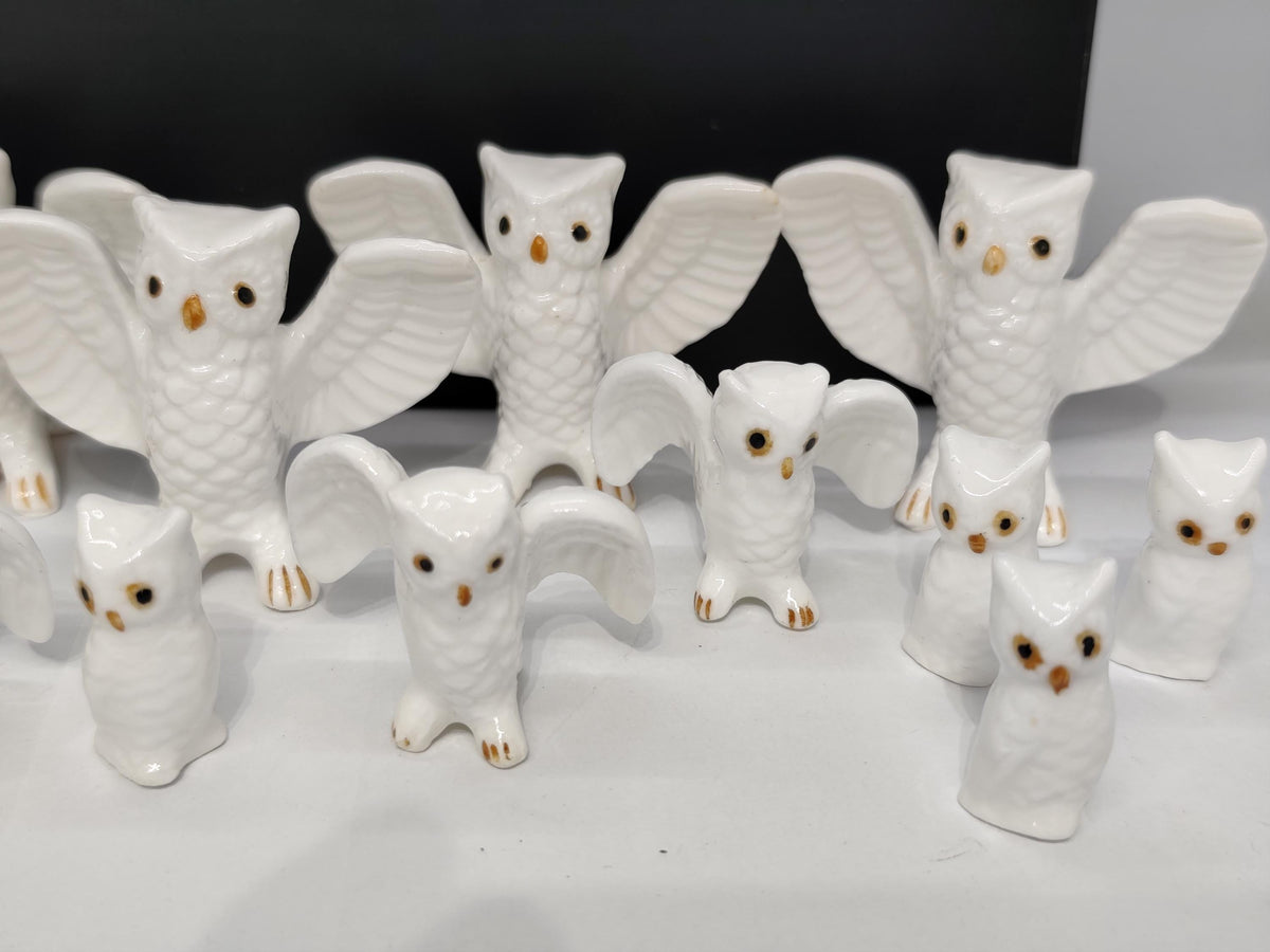 Set of 16 Bone China Genuine Owls Figurines