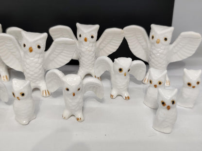 Set of 16 Bone China Genuine Owls Figurines