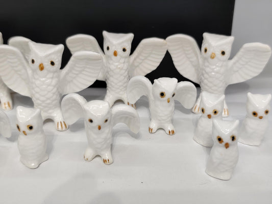 Set of 16 Bone China Genuine Owls Figurines