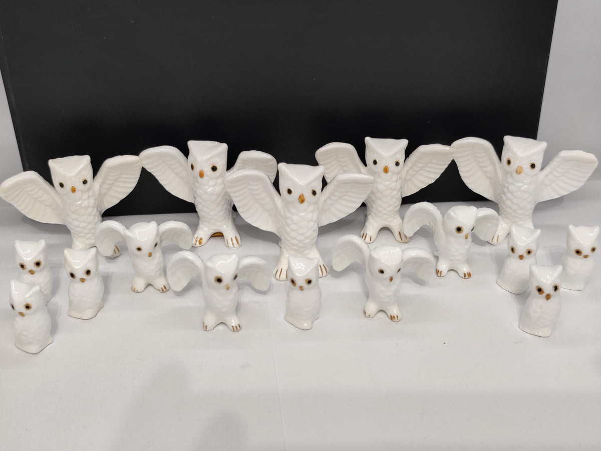 Set of 16 Bone China Genuine Owls Figurines
